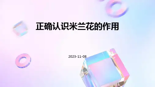 正确认识米兰花的作用