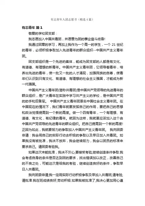 有志青年入团志愿书（精选4篇）