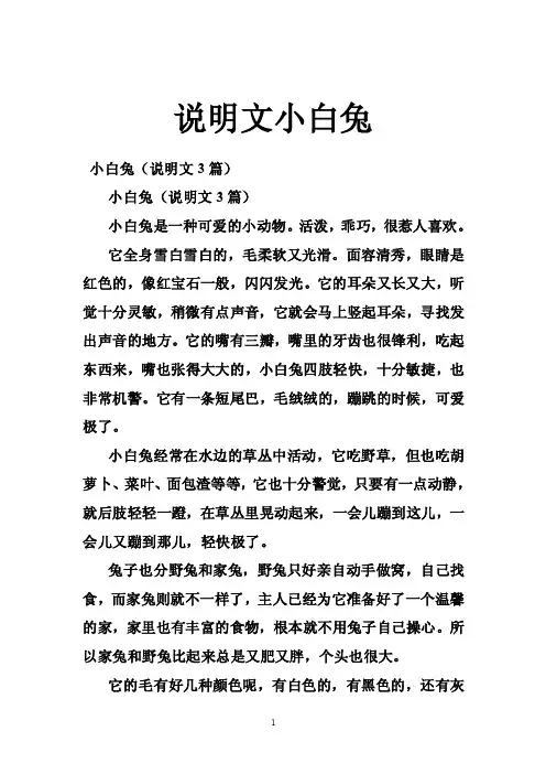 说明文小白兔