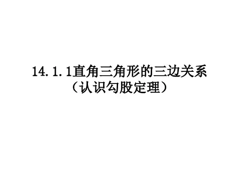 华师大版数学八年级上册14.1.1直角三角形的三边关系  课件(共16张PPT)