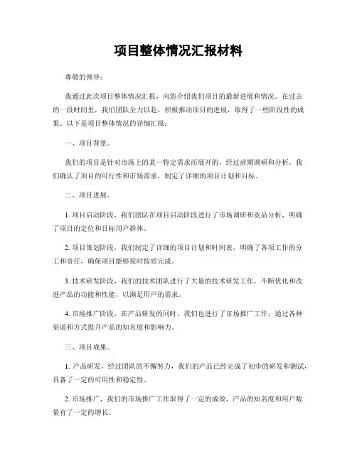 项目整体情况汇报材料