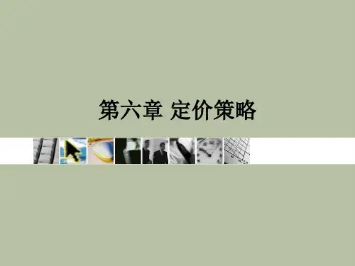第六章 6.4定价策略
