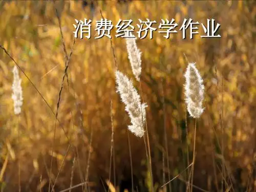 消费经济学作业