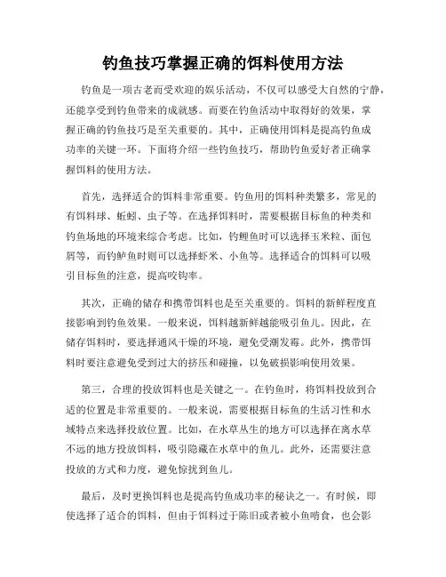 钓鱼技巧掌握正确的饵料使用方法