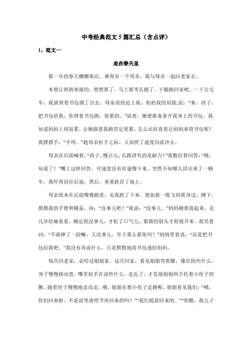 中考经典范文5篇汇总(含点评)