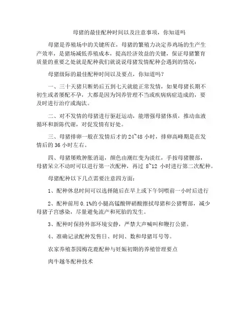 母猪的最佳配种时间以及注意事项,你知道吗