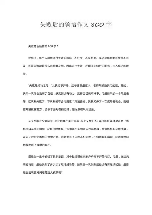 失败后的领悟作文800字