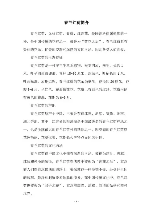 春兰红荷简介