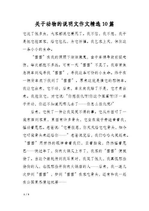 关于动物的说明文作文精选10篇