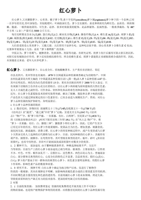 红心萝卜