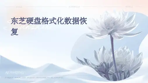 东芝硬盘格式化数据恢复