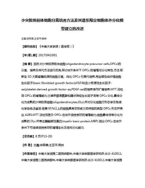 少突胶质前体细胞分离培养方法及其谱系限定细胞体外分化模型建立的改进