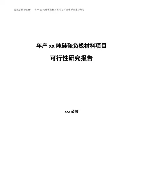 年产xx吨硅碳负极材料项目可行性研究报告规划