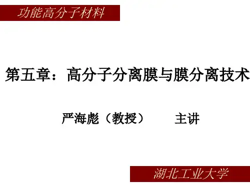 第五章 高分子分离膜与膜分离技术