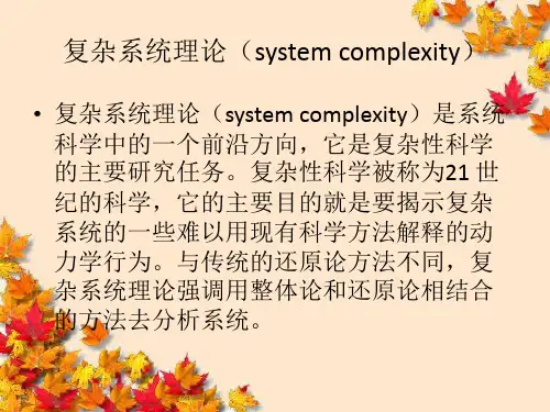 复杂系统理论讲课讲稿