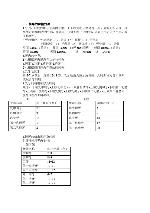 口腔基础知识