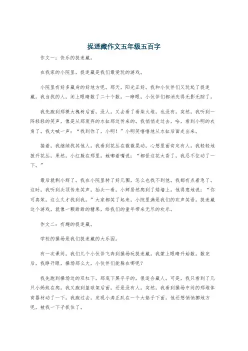 捉迷藏作文五年级五百字