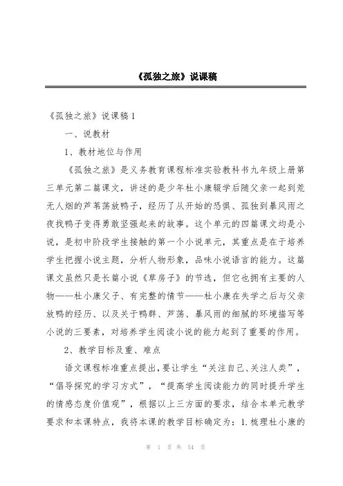 《孤独之旅》说课稿