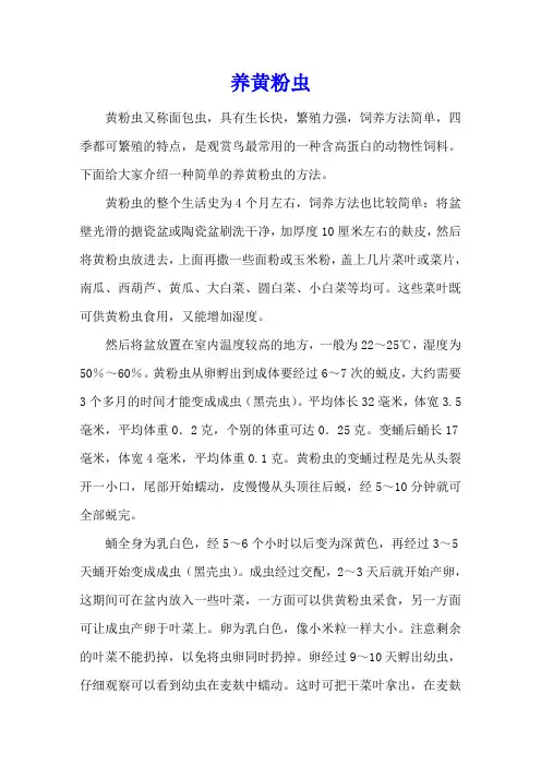 养黄粉虫-养殖技术