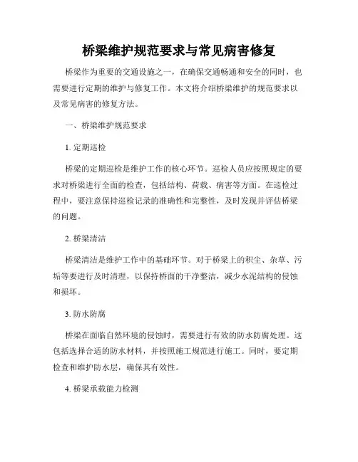 桥梁维护规范要求与常见病害修复