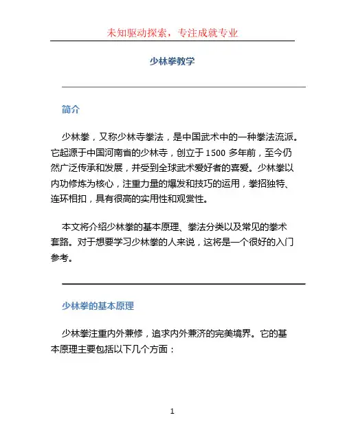 少林拳教学