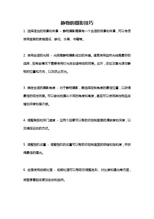 静物的摄影技巧