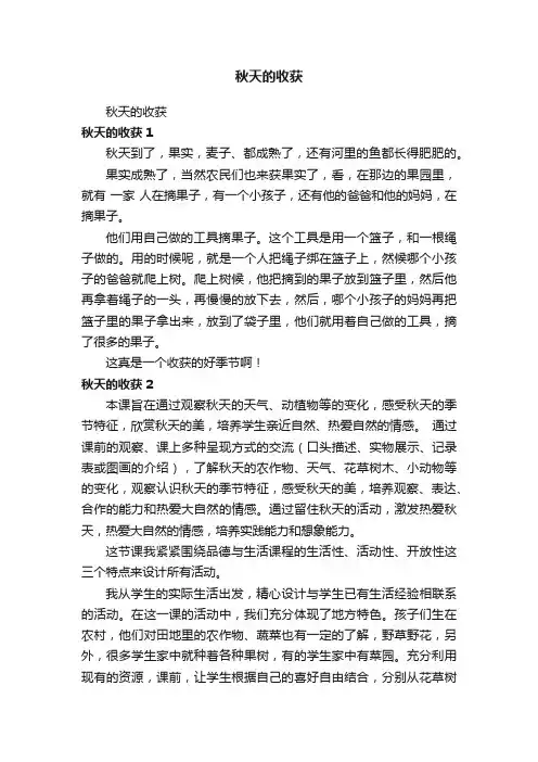 秋天的收获