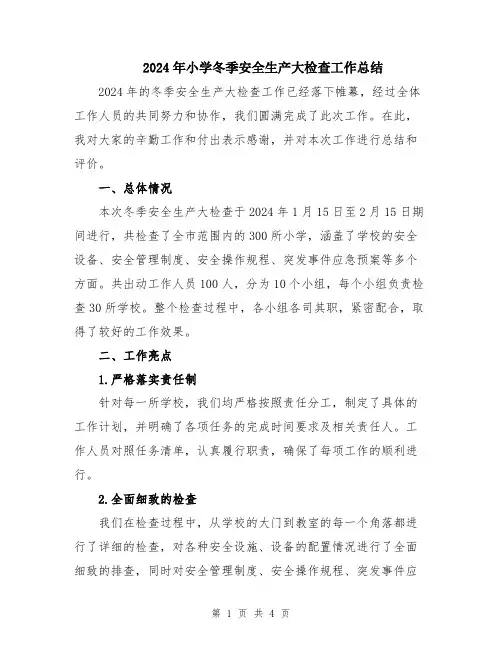 2024年小学冬季安全生产大检查工作总结