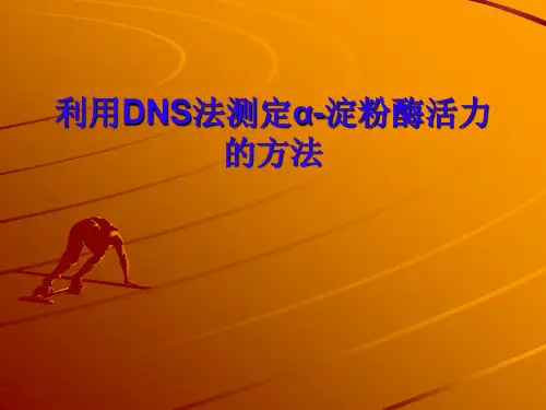 DNS法测定α-淀粉酶活力的方法
