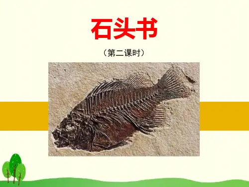 《石头书》ppt经典课件
