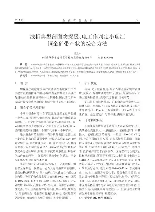 典型剖面物探磁电工作判定小瑞江铜金矿带产状的综合方法