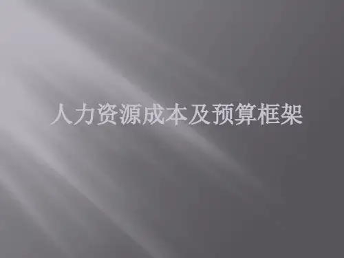 人力资源成本及预算框架
