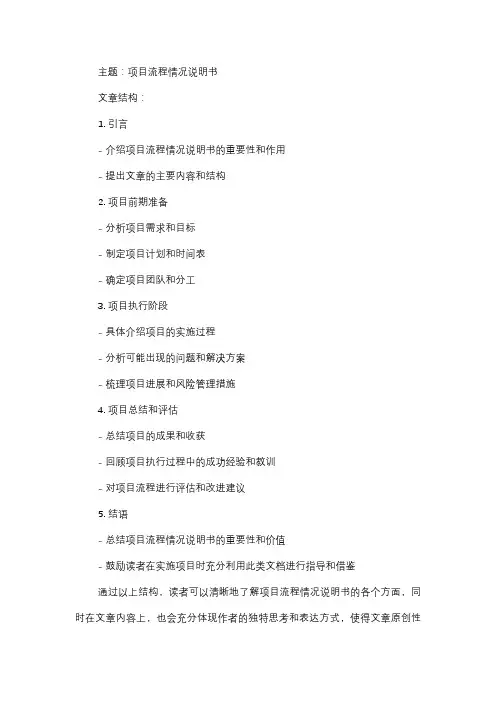 项目流程情况说明书