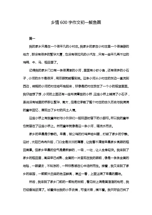 乡情600字作文初一鲅鱼圈