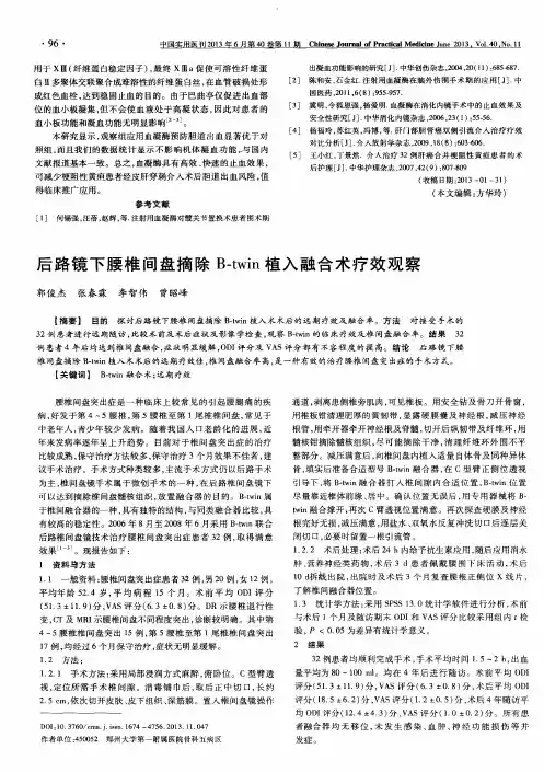 后路镜下腰椎间盘摘除B—twin植入融合术疗效观察