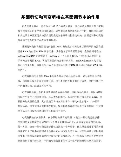 基因剪切和可变剪接在基因调节中的作用