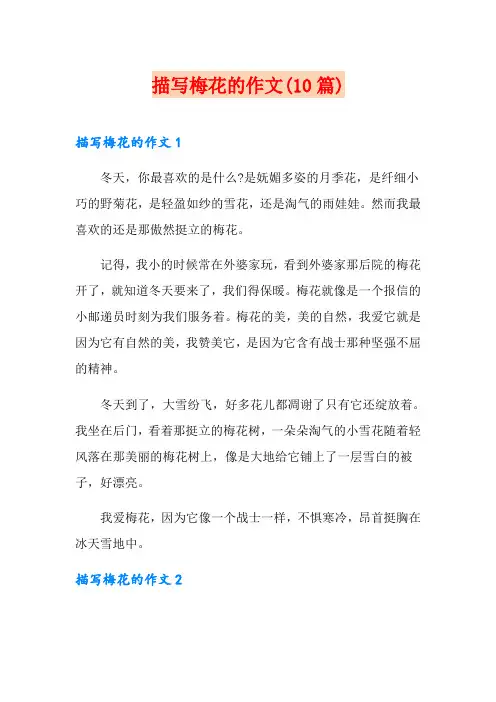 描写梅花的作文(10篇)