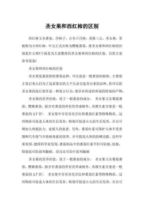 圣女果和西红柿的区别