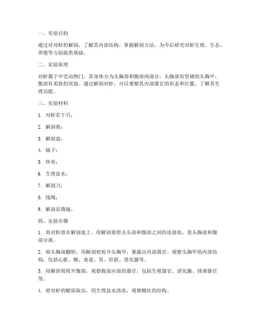 对虾解剖实验报告