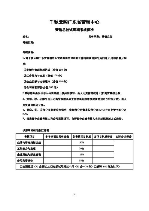 营销总监考核标准