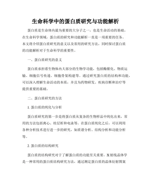 生命科学中的蛋白质研究与功能解析