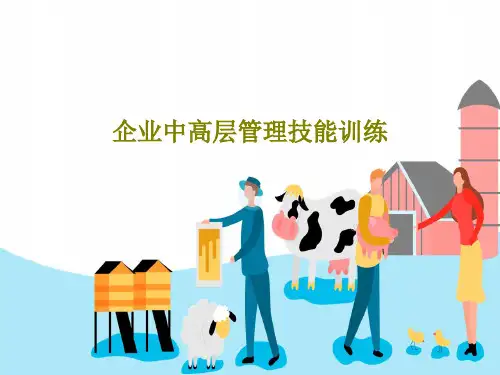 企业中高层管理技能训练共48页