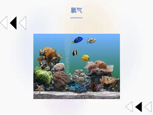 氧气的性质和用途课件