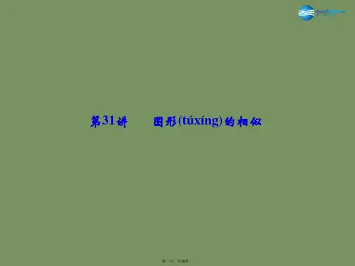 中考数学总复习 第7章 第31讲 图形的相似课件