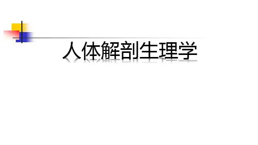 人体解剖生理学课件 第一章 绪论