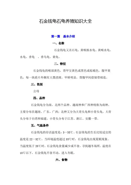 石金钱龟石龟养殖知识大全