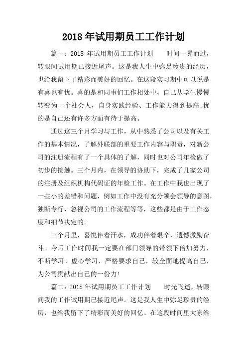 2018年试用期员工工作计划