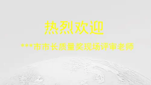 市长质量奖汇报--组织概述