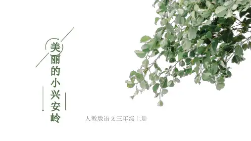 人教版语文三年级上册《美丽的小兴安岭》ppt课件