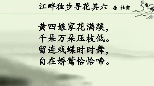 江畔独步寻花其六_唐诗鉴赏_唐_杜甫